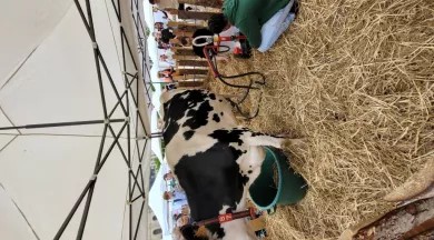 traite - JA Sarthe