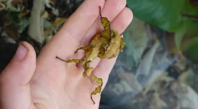 fête eau biodiversité - arche de la nature
