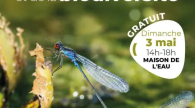 WEB_Fete de l'eau et de la biodiversité 2026 - LMM