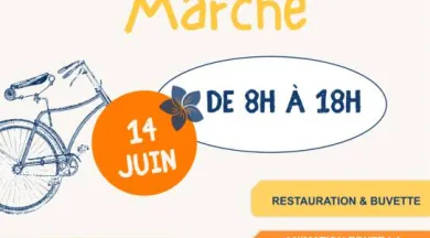 Affiche Bric-à-Brac & Marché - @Avoiseenfetes