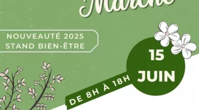 bric à brac avoise - Avoise en Fête