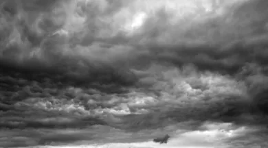 expo nuage - arche de la nature