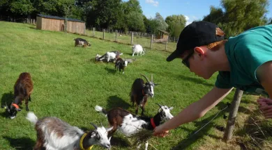 balade ferme - arche de la nature