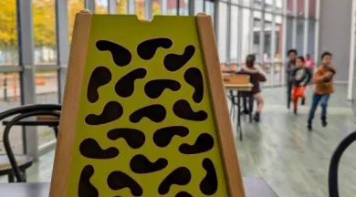 original_5eee8927-77d6-452c-8339-1941bb6fa7bc_PXL_20241002_133506267 - Scène nationale Les Quinconces et L'Espal