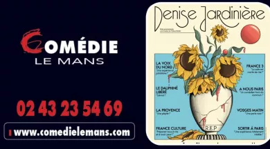 Design sans titre (1) - comedielemans