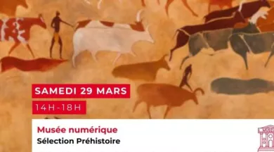 Selection Préhistoire  - ©MNHN