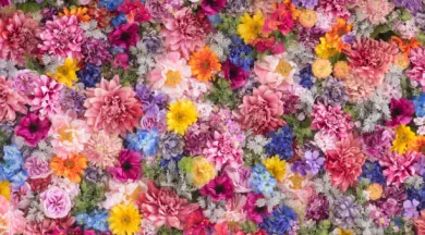 istockphoto-659171982-612x612 - IStock