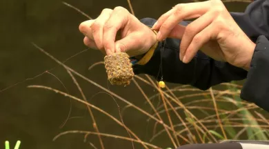 Pêche au feeder - AR03-ARPB (Bretagne)