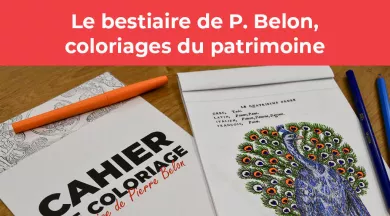 Le carnet de coloriage "le bestiaire de pierre belon", coloriages du patrimoine - Ville du Mans
