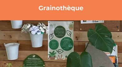 Grainothèque - Ville du Mans