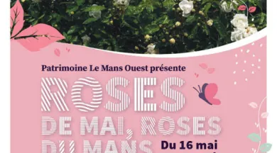 FMA72-Roses de mai - PMO