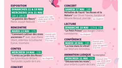 FMA72-Festival-roses-anciennes-Programme - Patrimoine Le Mans Ouest