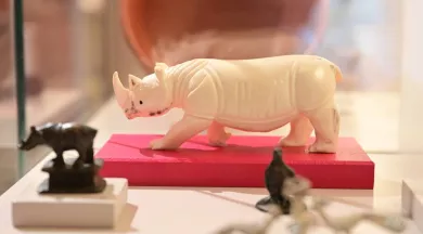 CP - expo animaux - © Ville du Mans