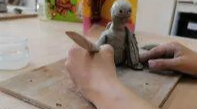 200x200-20250120678e29d8262d2 - Musée de la faïence et de la céramique