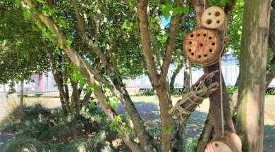 Hôtel à insectes - Ile MoulinSart