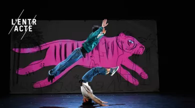 14 - Je suis tigre © Marc Ginot - © Marc Ginot