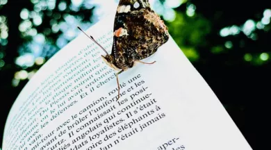 Sound of paper - @T'atrium