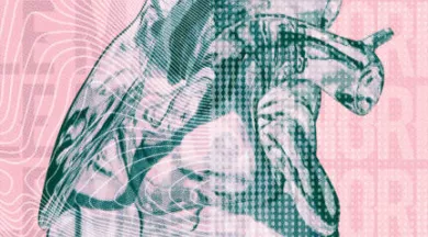 1080x1920_STORY_LE-MANS-SONORE-2026 - © Ville du Mans 