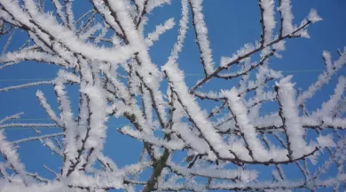 Installation sonore - @Béatrice Rocheteau