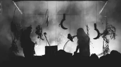 mutterlein-et-treha-sectory - DR