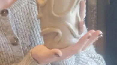 20251228_170300 - fannygueniot