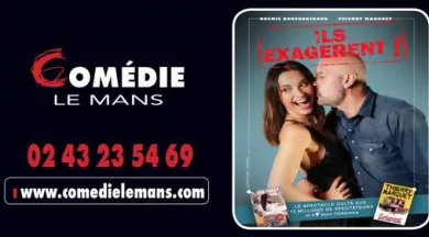 Capture d’écran 2026-01-14 à 17.24.09 - comedielemans