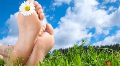 69801200_2312987672110327_5423328176153559040_n - anne mauboussin