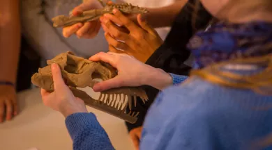 Ateliers Dinosaures - © Ville du Mans