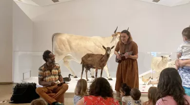 CP - Fais pas ci Fais pas ça - © Ville du Mans