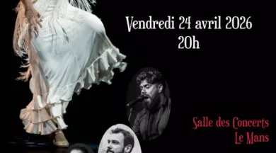 Spectacle Flamenco Amar y Bailar - @dansesetvibrations