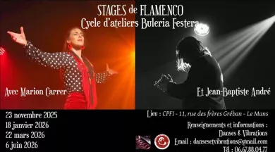 Stage Danse Flamenco Buleria - @dansesetvibrations