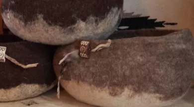 635408462_1229838022625008_2269672666751407457_n - Arche de la nature