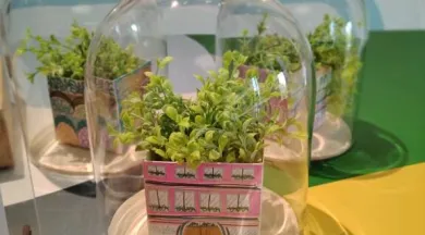 IMG_20250514_151159 - LMM