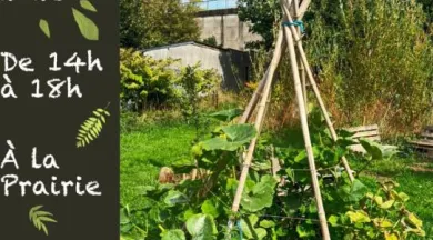 Troc Plantes - ©Collectif La Prairie