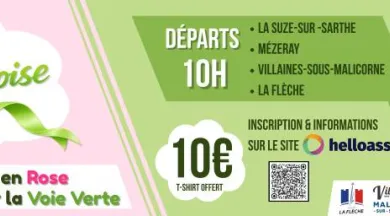 Baniere Voie Vertoise - 1 - OK