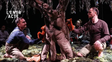 Sous l'arbre - © Virginie Meigné