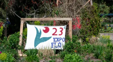 Exposition Florale_Angers_3 - Expo Flo