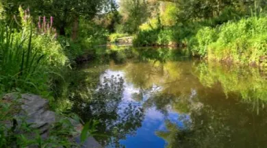 Rendez-vous au jardin du Parc Balzac_Angers_1 - Angers Patrimoine
