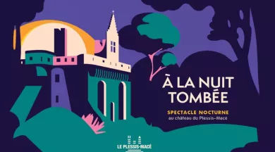 Nuit tombée_1 - ©NellyGarreau
