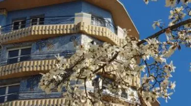 Bulles de Culture Matinales Maxi_Angers_1 - Odile Wibault