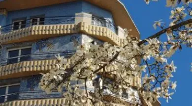 Bulles de Culture Matinales Maxi_Angers_1 - Odile Wibault