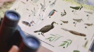 Croisière ornithologique_1 - Etienne Begouen