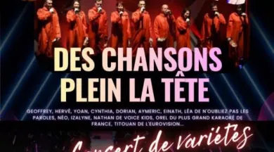Concert des chansons plein la tête_1 - Ppp