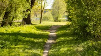 La Villevêquoise_Rives-du-Loir-en-Anjou_1 - Mairie de Rives-du-Loir-en-Anjou