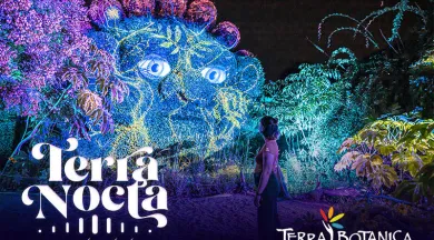 Terra Nocta_Angers_1 - Terra Botanica