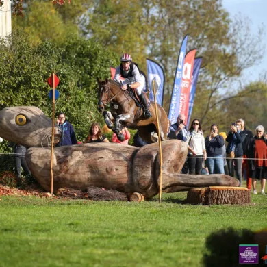 Anjou Terre d'Excellence 3 ©PSV Photo - www.psvphoto.com