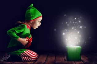 Lutin - Pixabay