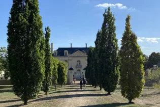 La Charpenterie et sa tour - Cornillé Les caves - Laura Bellanger