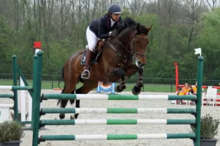 CONCOURS EQUITATION - Martine Kooi de Pixabay