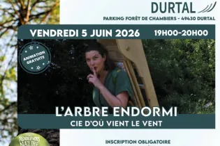 Affiche Carré - Arbre endormi - Mairie Durtal